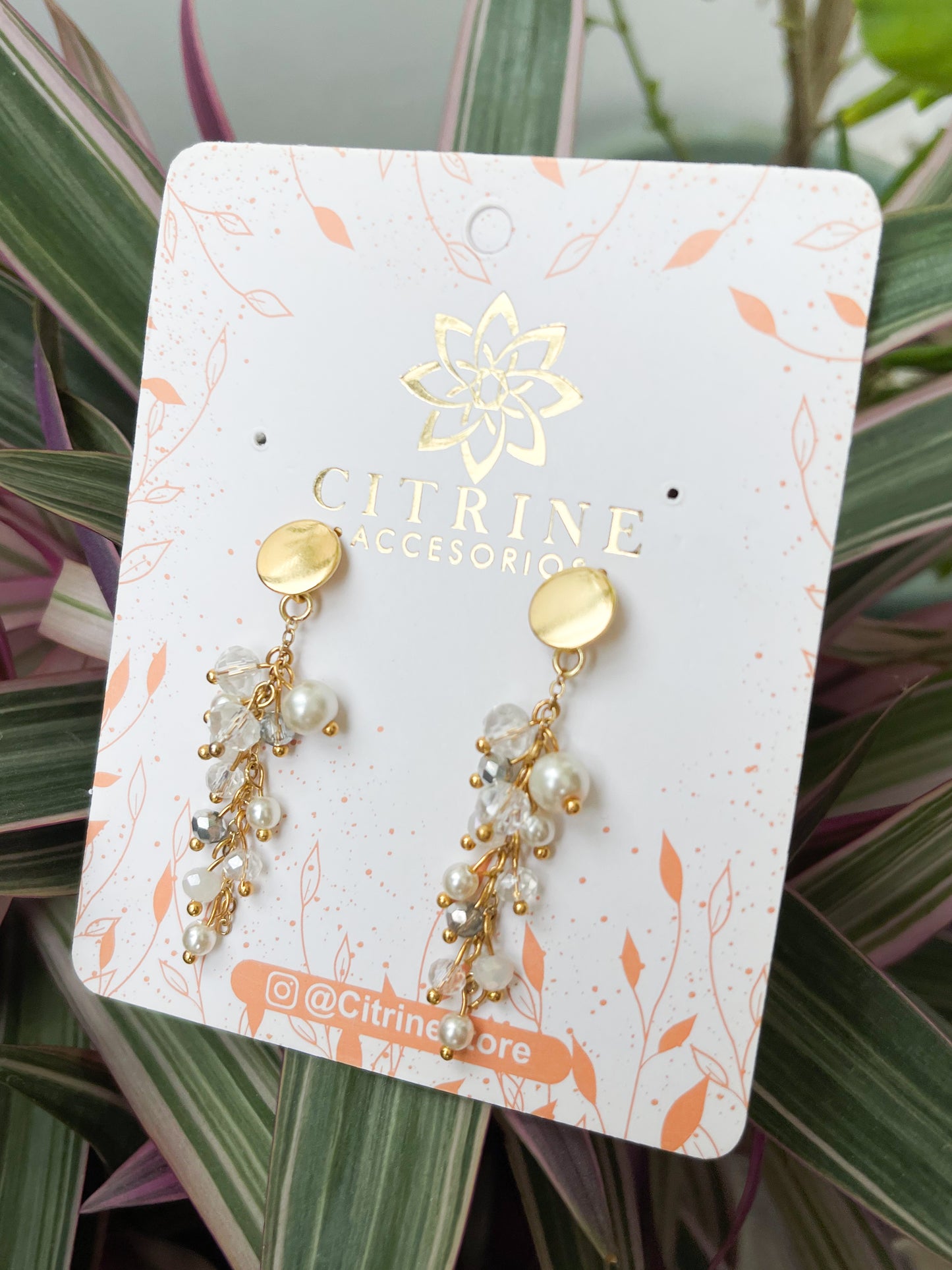 Aretes pearls and shine